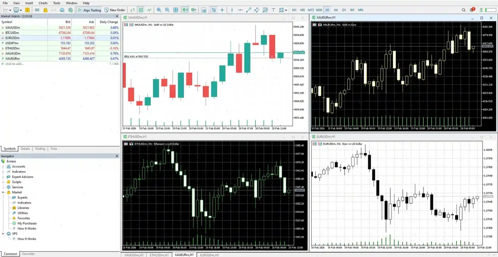mt multi interface exness